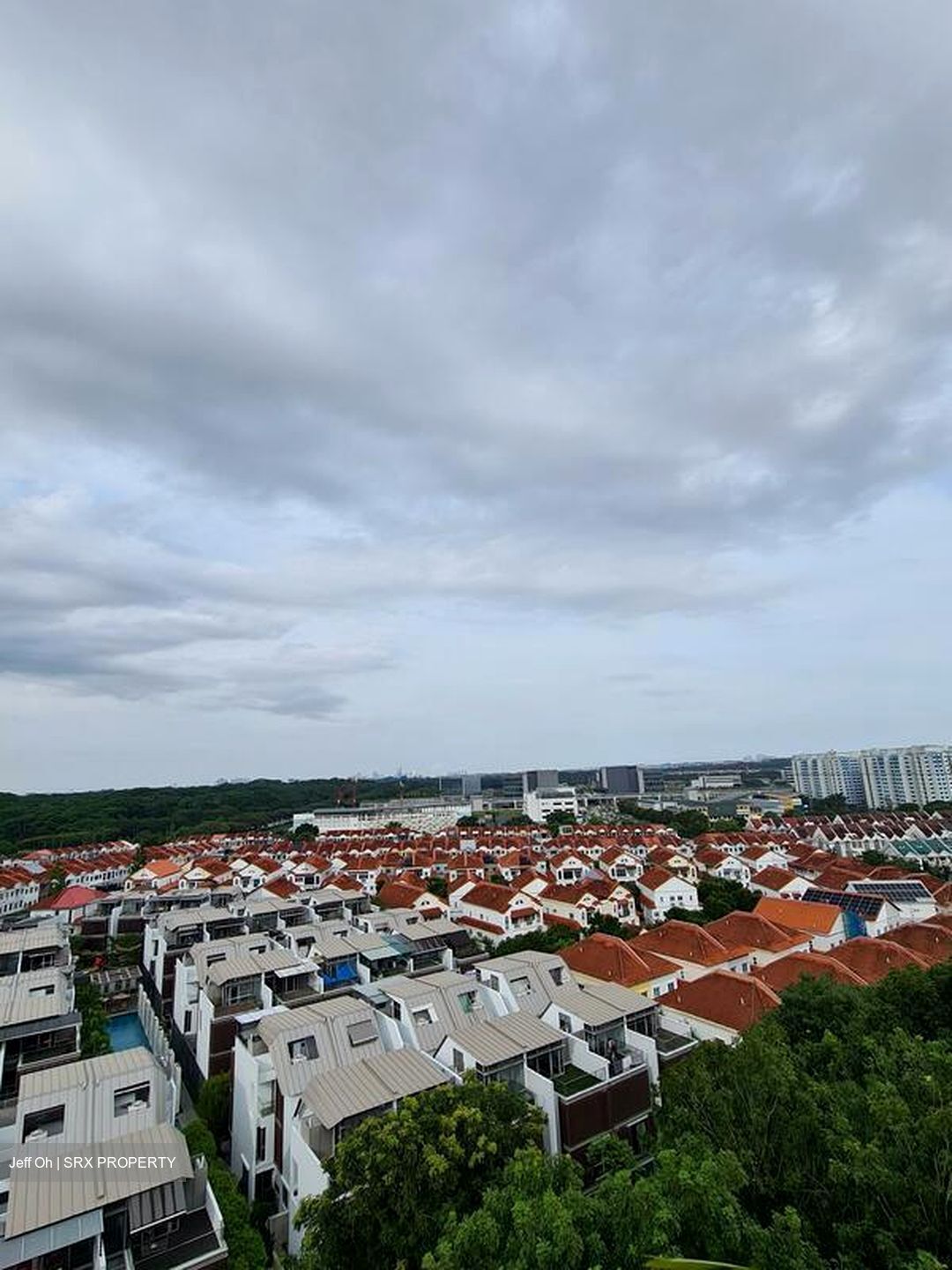 The Floravale (D22), Condominium #520908621